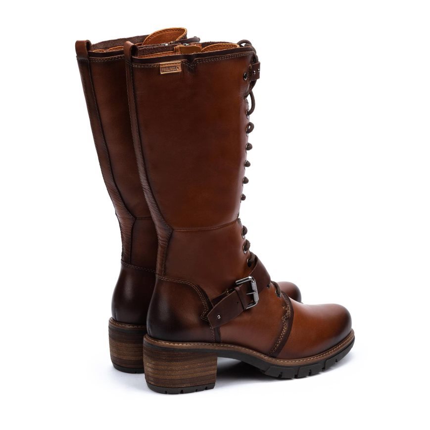 Women's Pikolinos SAN SEBASTIAN Ankle Boots Brown | NZ QA231Q5